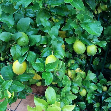 컨트리하우스 Casa A Chairina Y A Revolta Arnoia