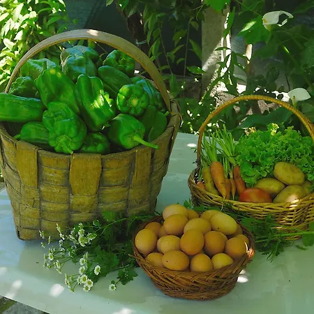 컨트리하우스 Casa A Chairina Y A Revolta *